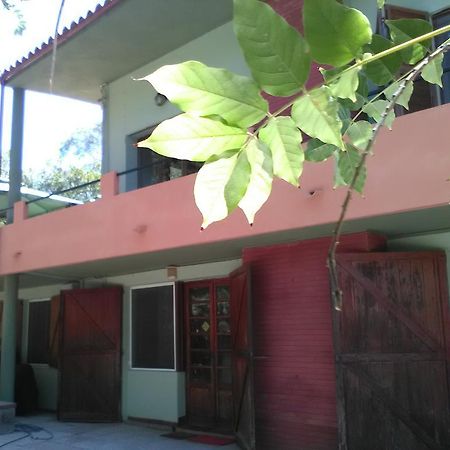 B&B La Quercia San Gregorio  Εξωτερικό φωτογραφία