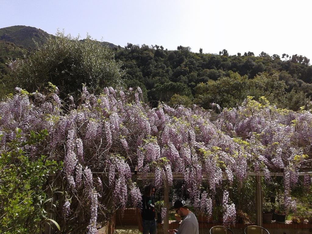 B&B La Quercia San Gregorio  Εξωτερικό φωτογραφία