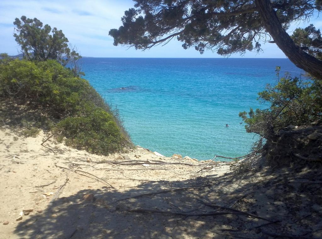 B&B La Quercia San Gregorio  Εξωτερικό φωτογραφία