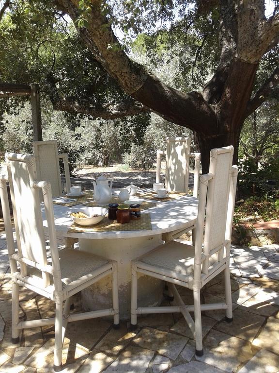 B&B La Quercia San Gregorio  Εξωτερικό φωτογραφία