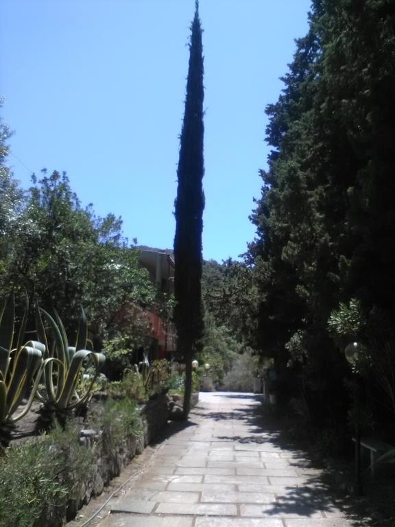 B&B La Quercia San Gregorio  Εξωτερικό φωτογραφία